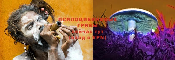 скорость mdpv Каменногорск