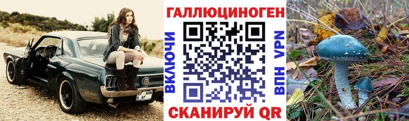 Галлюциногенные грибы мухоморы  Купить закладки  Верхний Уфалей 